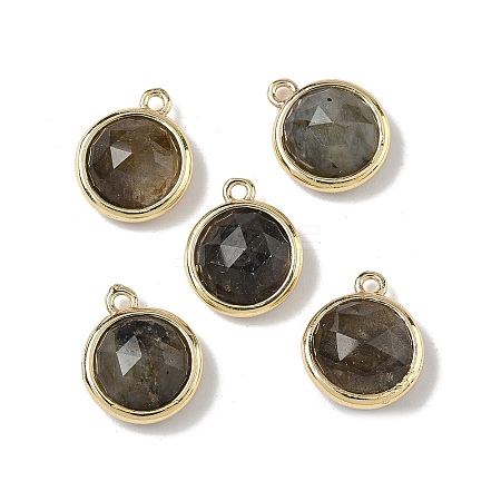 Natural Labradorite Faceted Flat Round Charms G-U028-03G-06-1