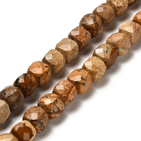 Natural Picture Jasper Beads Strands G-H078-C14-01-1