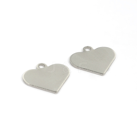 304 Stainless Steel Charms X-STAS-D431-27-1