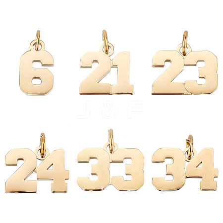 Unicraftale 6Pcs 6 Style 316 Surgical Stainless Steel Charms STAS-UN0040-38G-1