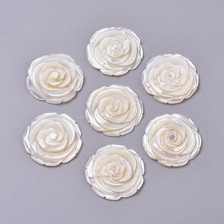 Natural White Shell Mother of Pearl Shell Cabochons SSHEL-L013-12-1