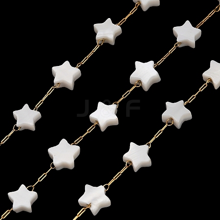Handmade 304 Stainless Steel Shell Star Link Chains CHS-B011-01B-G-1