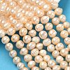 Natural Cultured Freshwater Pearl Beads Strands PEAR-L034-12E-1