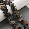 Natural Indian Agate Beads Strands G-I283-F20-1