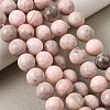 Natural Pink Zebra Jasper Beads Strands G-P231-01-10mm-10