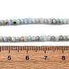 Natural Larimar Beads Strands G-F803-B01-01-5