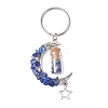 5Pcs 5 Styles Natural Lapis Lazuli & Red Jasper & Amazonite & Tiger Eye & White Moonstone Keychain KEYC-JKC00947-4