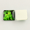 Clover Photo Glass Square Cabochons X-GGLA-S022-30mm-08M-1