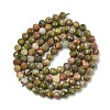 Natural Unakite Beads Strands G-G189-D14-03-3