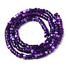 Natural Trochus Shell Beads Strands SHEL-S278-027-3