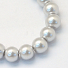 Baking Painted Pearlized Glass Pearl Round Bead Strands HY-Q003-10mm-62-2
