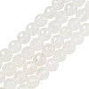Natural Quartz Crystal Beads Strands X-G-E571-A11-01-1