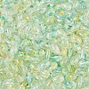 Baking Paint Transparent Glass Beads DGLA-T004-06J-2