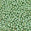 TOHO 6/0 Round Beads SEED-TR06-PF0560-3
