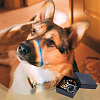 1Pc Brass Paw Print Pendants Decorations AJEW-DR0002-34-5