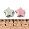 Handmade Porcelain Beads PR-CBAD492-01-3