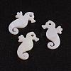 Natural White Shell Mother of Pearl Shell Pendants SSHEL-G014-70-1