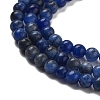 Natural Sodalite Beads Strands G-G143-A03-01-4