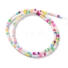 Handmade Czech Lampwork Beads Strands LAMP-L078-008F-2