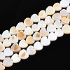 Natural Freshwater Shell Beads Strands SHEL-N026-67A-1