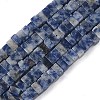 Natural Blue Spot Jasper Beads Strands G-A280-C06-01-3