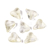 Transparent Glass Beads DGLA-N022-01-3