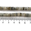 Natural Labradorite Beads Strands G-G084-A03-01-5