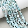Natural Larimar Beads Strands G-K203-48-5