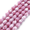 Opaque Baking Painted Glass Beads Strands EGLA-N006-007-2