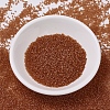 MIYUKI Delica Beads SEED-MY11-DB0777-2