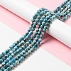 Natural Apatite Beads Strands G-G858-01A-2