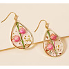 Teardrop Alloy Resin Dangle Earrings FS-WG72C44-04-1