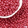 6/0 Glass Seed Beads X1-SEED-L011-08A-22-1