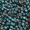 Transparent Inside Colours Glass Seed Beads SEED-H002-A-C223-3