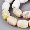 Natural Agate Beads Strands G-Q606-97B-03-4
