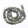Natural Labradorite Beads Strands G-R445-8x10-20-2