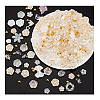 Transparent Acrylic Beads OACR-PH0004-32A-6