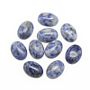 Natural Blue Spot Jasper Cabochons G-R415-13x18-45-1