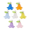 Frosted Acrylic Pendants Kit PALLOY-JF02421-1