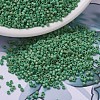 MIYUKI Delica Beads SEED-X0054-DB0877-1