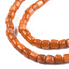 Natural Freshwater Shell Beads Strands SHEL-N026-233-4