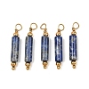 Natural Lapis Lazuli Pendants GG-CBA5E56-01G-01-1