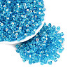 FGB Transparent Colours Glass Seed Beads SEED-Q040-07A-B05-1
