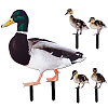 Double-sided Pattern Acrylic Garden Stake AJEW-WH0348-02D-1