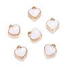 Heart Alloy Enamel Charms X-ENAM-Q033-51B-1