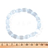 Dyed Natural Selenite Column Beaded Stretch Bracelets for Women BJEW-I312-05A-5