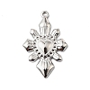 304 Stainless Steel Pendants STAS-H482-02P-1