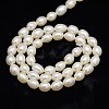 Grade AA Natural Cultured Freshwater Pearl Beads Strands X-PEAR-L001-A-11-3