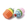 Opaque Resin Pendants RESI-K049-03-2