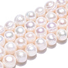 Natural Cultured Freshwater Pearl Beads Strands PEAR-S020-F11-01-4